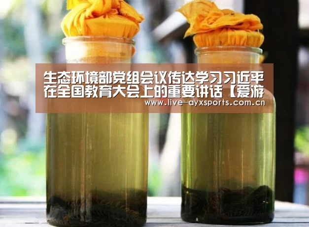 生态环境部党组会议传达学习习近平在全国教育大会上的重要讲话【爱游戏体育app】(图4) 生态环境部党组会议传达学习习近平在全国教育大会上的重要讲话【爱游戏体育app】(图4)