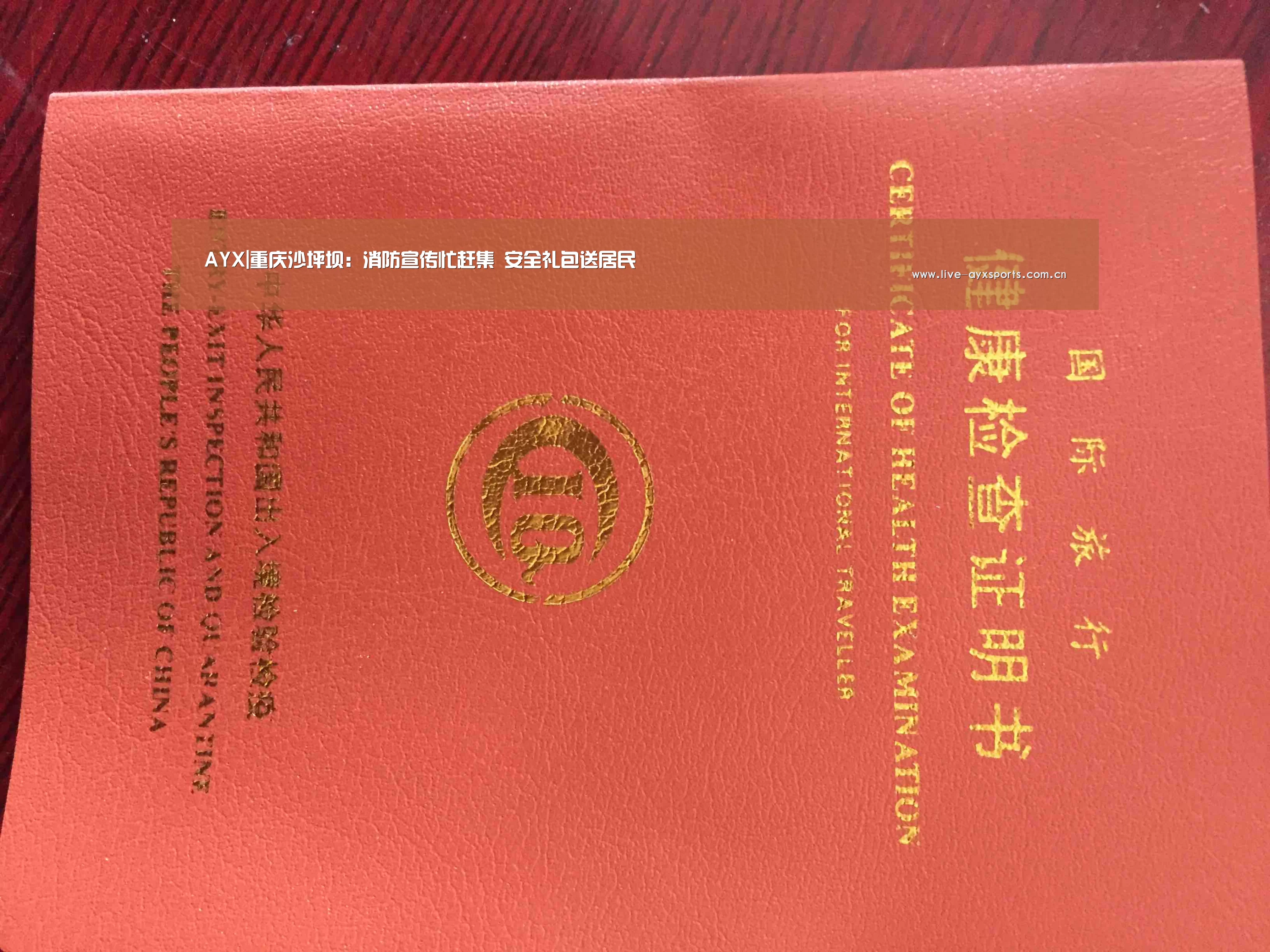 体育手机端APP