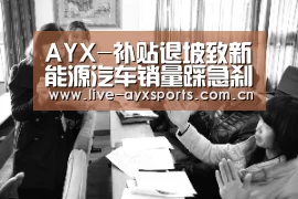 AYX-补贴退坡致新能源汽车销量踩急刹车，车企迎来“大劫难”(图3)
