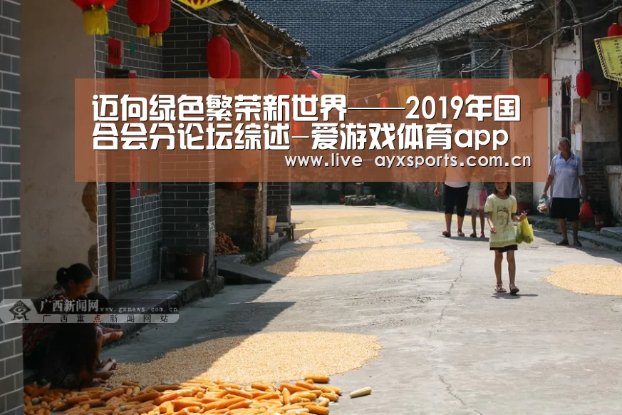 迈向绿色繁荣新世界——2019年国合会分论坛综述-爱游戏体育app(图3) 爱游戏体育app