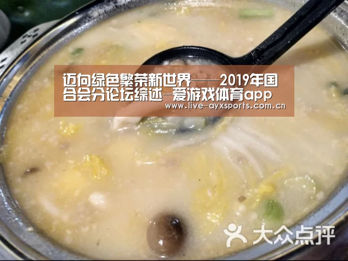 迈向绿色繁荣新世界——2019年国合会分论坛综述-爱游戏体育app(图4) 爱游戏下载