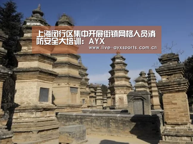 上海闵行区集中开展街镇网格人员消防安全大培训:AYX(图4) 爱游戏体育app