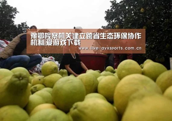豫鄂检察机关建立跨省生态环保协作机制|爱游戏下载(图1) 爱游戏体育app