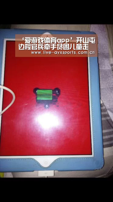 体育手机端APP