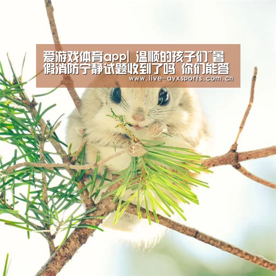 爱游戏体育app|
温顺的孩子们~暑假消防宁静试题收到了吗 你们能答对几多呢?(图2) 爱游戏体育app|
温顺的孩子们~暑假消防宁静试题收到了吗 你们能答对几多呢?(图2)