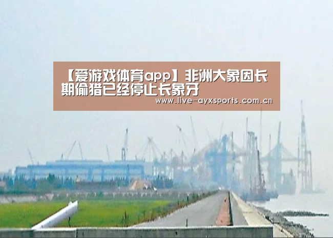 爱游戏体育app