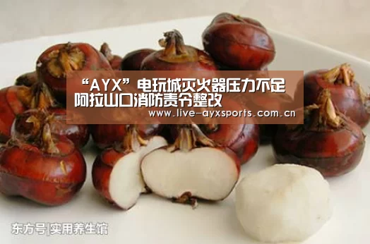 “AYX”电玩城灭火器压力不足 阿拉山口消防责令整改(图1) 体育手机端APP