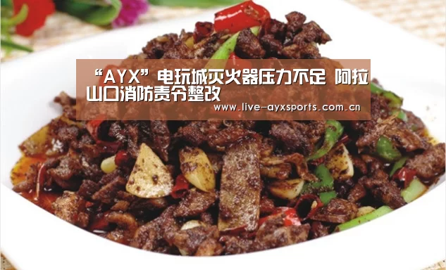 “AYX”电玩城灭火器压力不足 阿拉山口消防责令整改(图2) 体育手机端APP
