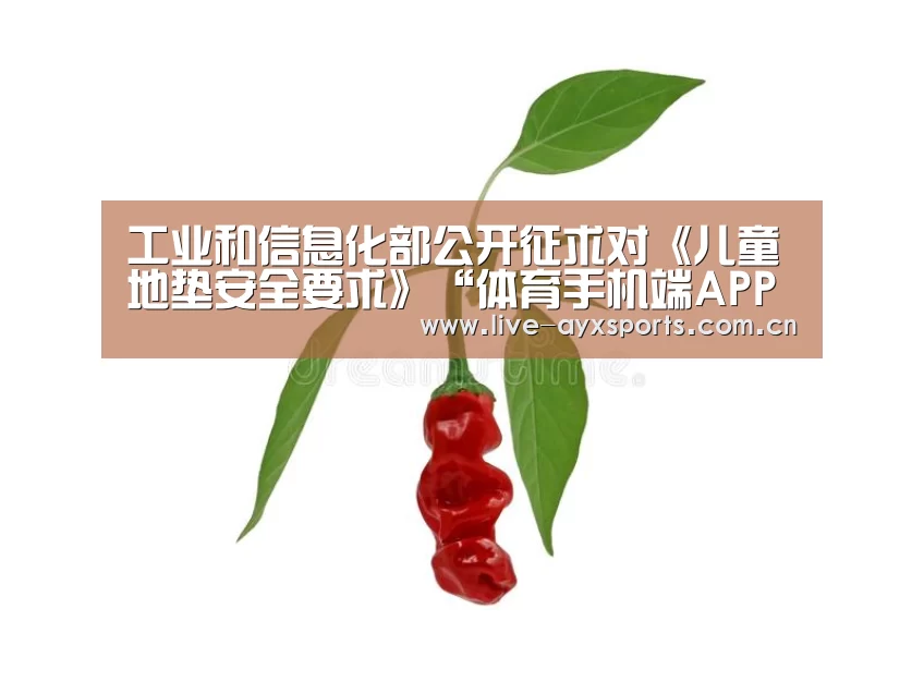 工业和信息化部公开征求对《儿童地垫安全要求》“体育手机端APP”(图1) 工业和信息化部公开征求对《儿童地垫安全要求》“体育手机端APP”(图1)