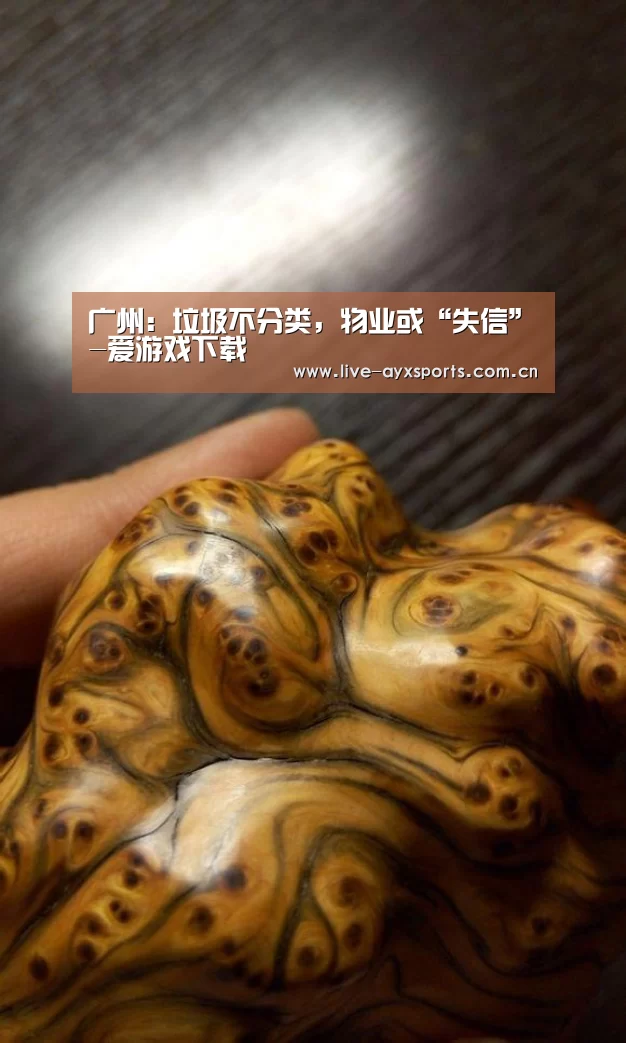 广州:垃圾不分类,物业或“失信”-爱游戏下载(图1) 爱游戏体育app
