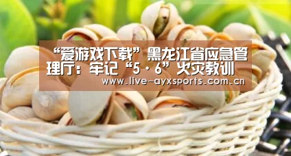 “爱游戏下载”黑龙江省应急管理厅:牢记“5·6”火灾教训 坚决打赢春防攻坚(图3) “爱游戏下载”黑龙江省应急管理厅:牢记“5·6”火灾教训 坚决打赢春防攻坚(图3)
