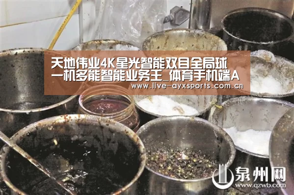 天地伟业4K星光智能双目全局球 一机多能智能业务王_体育手机端APP(图2) 爱游戏体育app